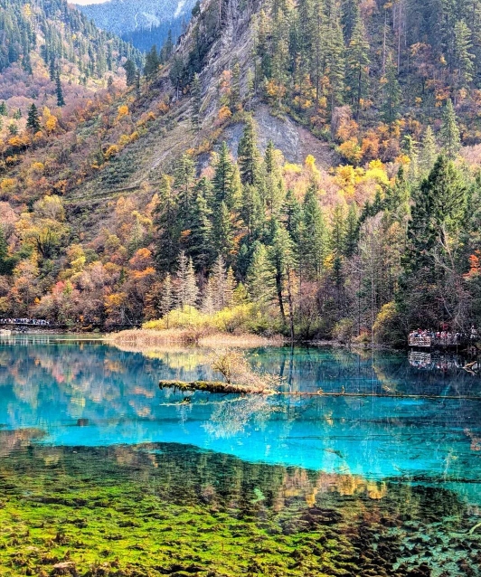2025九寨沟最佳旅游季节推荐及必打卡景点全攻略